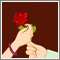 Send this rose to someone special.
